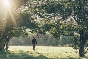 An adult walks along a sunlit path through trees, moving forward