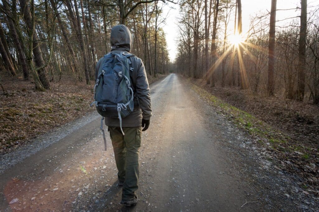 A person walking along a forest path toward the morning sun